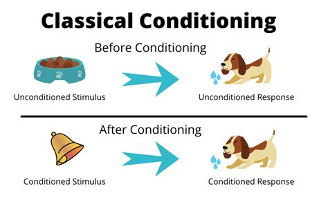 Examples of Classical Conditioning