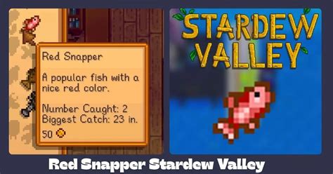 Red Snapper Stardew Valley: Complete Fishing Guide (2025) - Stardew ...