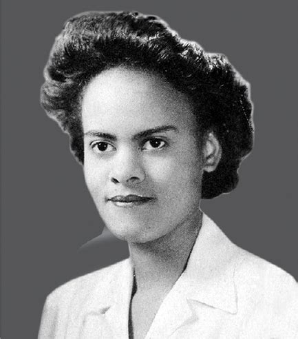 What Is a Programmer 的图像结果