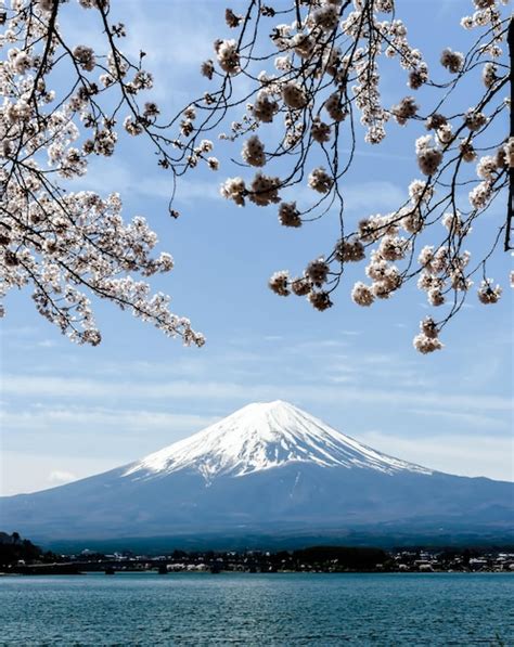 Japan View 的图像结果