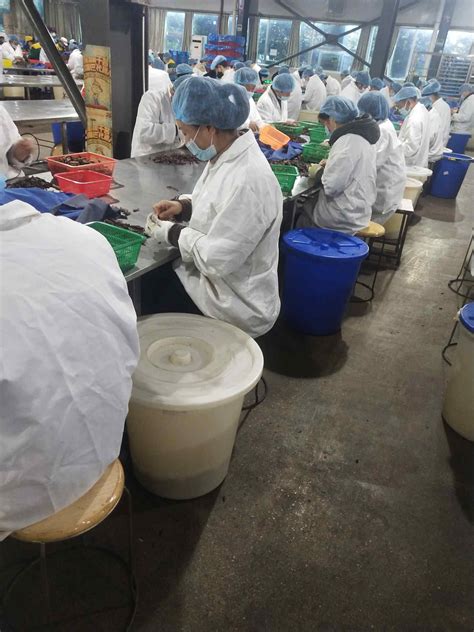来自湖南湘潭，年产2万吨米粉加工项目落户宝应_生产_技术_销售