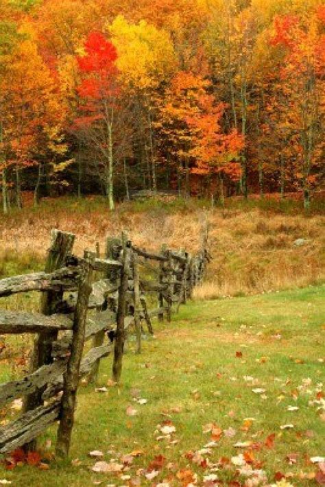 Image result for Fall Scenes Beautiful Nature