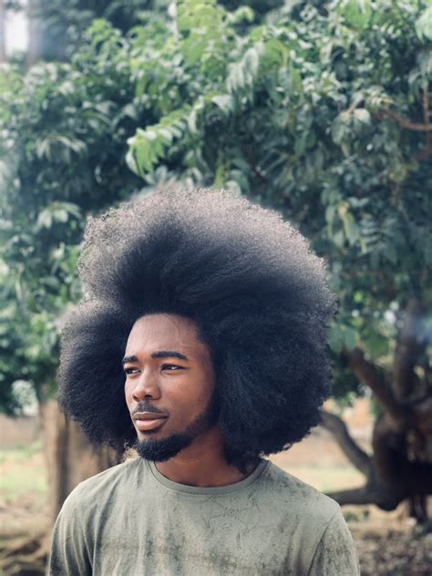 8 modern curly hairstyles for men 2023 guide – Artofit