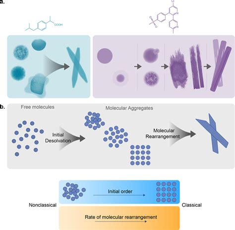 Image result for Microscopy Crystallization
