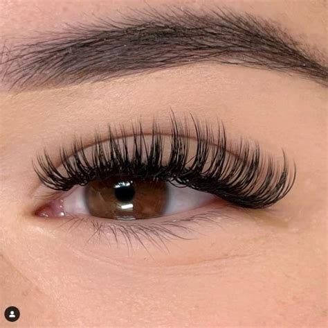 Lash Extension Tutorial Classic 的图像结果