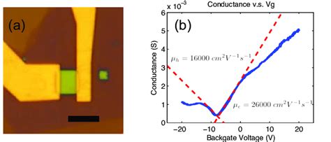 Image result for Scale Bar Microscope