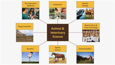 Image result for Animal Behavior Graduate Program