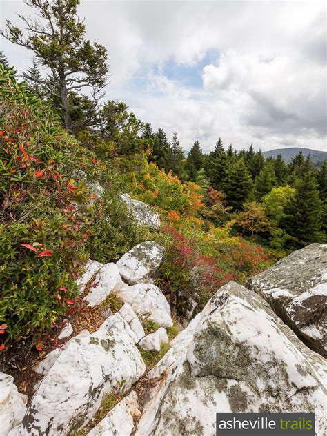 Shining Rock Wilderness: hiking the Ivestor Gap Trail | Pisgah national ...