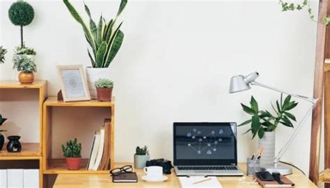 Tips to The Perfect Office table Decoration