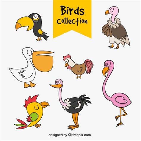 Collection of hand-drawn birds | Free Vector