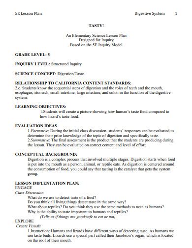 Image result for How to Write a 5E Lesson Plan