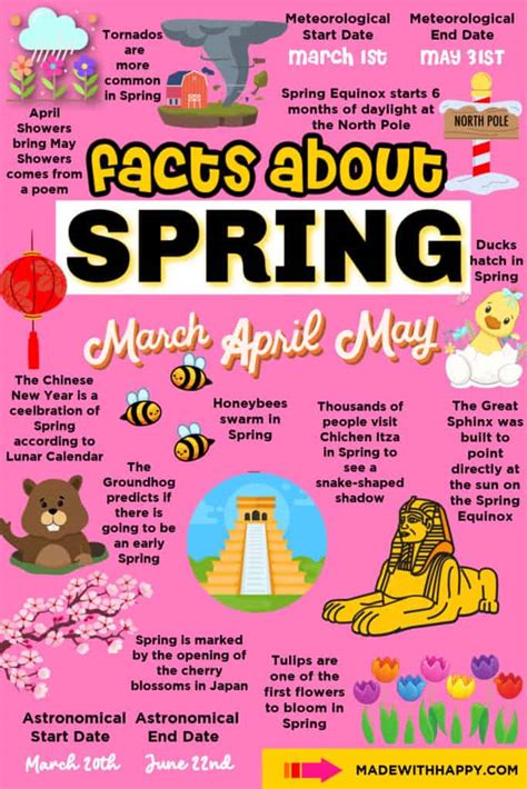 Image result for Amazing Facts Spring