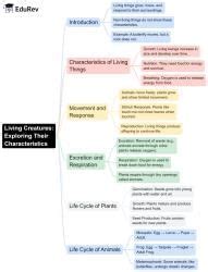 Mind Map: Living Creatures: Exploring their Characteristics - Science ...