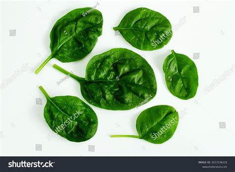269 Palak Bhaji Images, Stock Photos & Vectors | Shutterstock