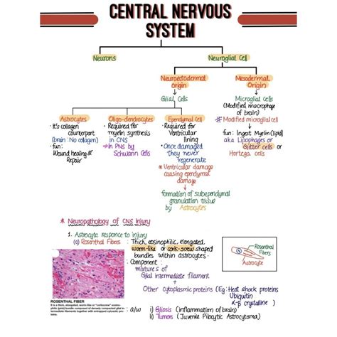 Pathology Handwritten Notes by Devesh Mishra Pathology 2020