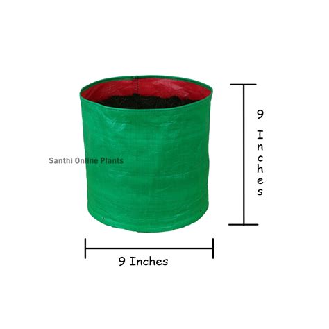 Green Grow Bag 9*9 (10 Pcs) – Santhi Online Plants