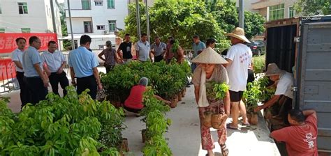 珠海工作组助力乡村振兴 爱心社团向电城镇捐赠教育物资