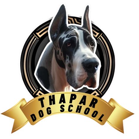 Thapar Dog School