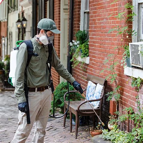 Local Pest Control 的图像结果