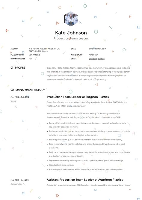Full Guide: Production Team Leader Resume | 12 Examples