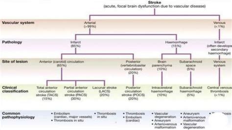 stroke presentation that covers every aspect of Focal neurological ...