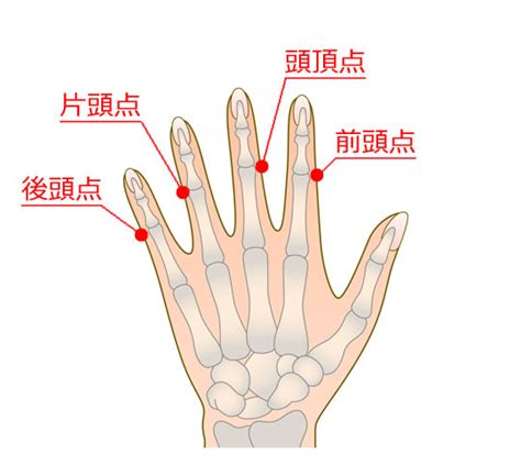 Image result for Adam Optimization Algorithm