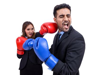 Image result for Project Program Manager