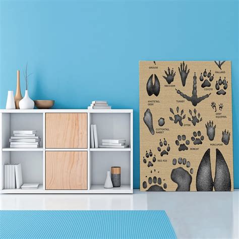 Buy Field Guide Posters Animal Footprints Educational Charts Wall Decor ...