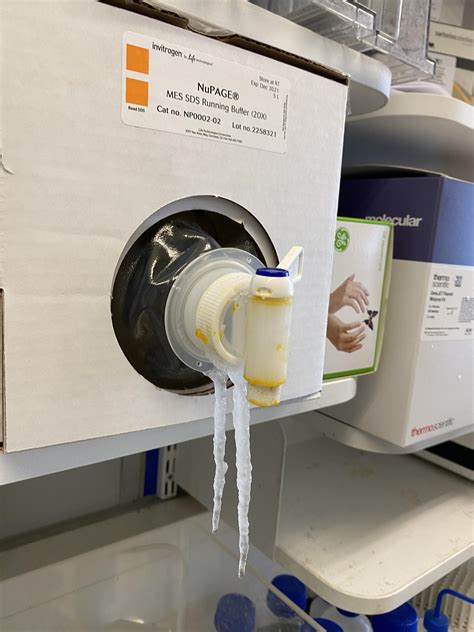 The leaking tap on this box of salt solution in our lab formed saltsicles : r/mildlyinteresting