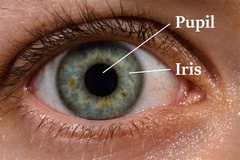Science Course 的图像结果