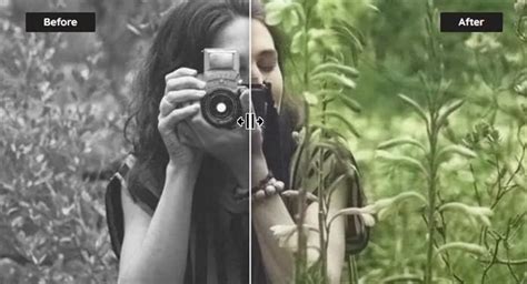 Best Image Colorizer 的图像结果