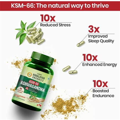 Vlado's Himalayan Organics Ashwagandha 1000 mg KSM I KSM-66 I Boost ...