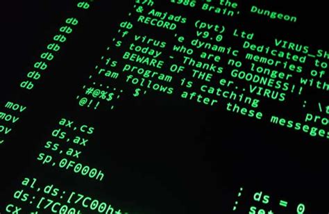 First Computer Virus 的图像结果