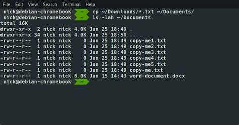 Image result for Linux Shell Copy Command