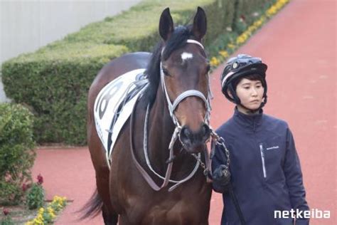 ハクサンミニョン (Hakusan Mignon) | 競走馬データ - netkeiba