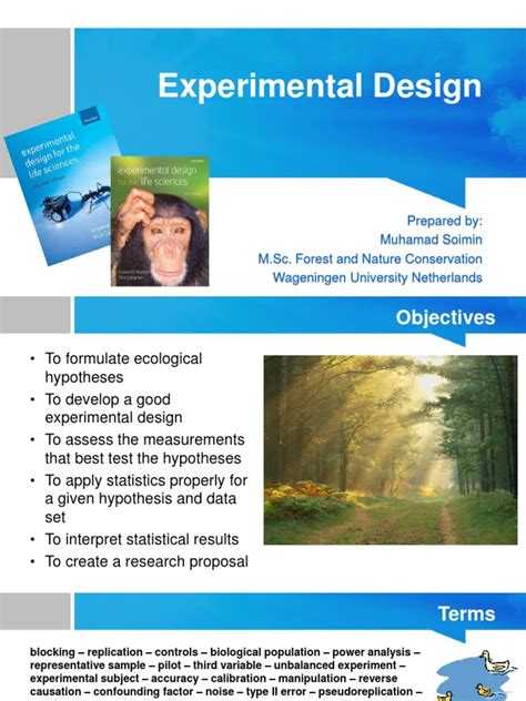 Image result for Design of Experiment Introduction