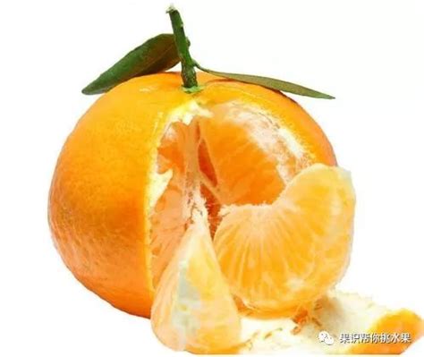 吃太多橘子，皮肤会发黄，这是因为-蚂蚁庄园2月21日每日一题答案和解析 - QT软件园