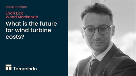 Interview - Endri Lico, Wood Mackenzie - What is the future for wind ...