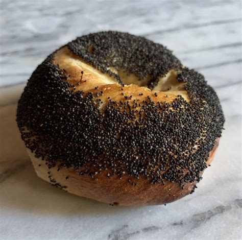 Poppy Seed Bagel