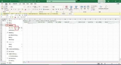 Convert .dbf to Excel 的图像结果