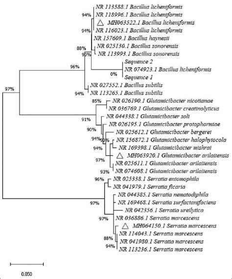 Isolation, characterization and optimization of keratinolytic bacteria ...