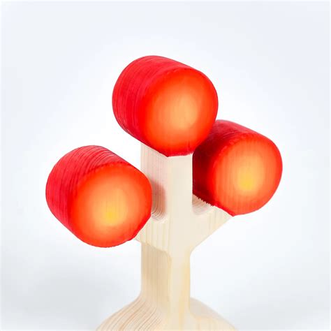 Wooden Tree Toys - Circular Leaf – MoonToys