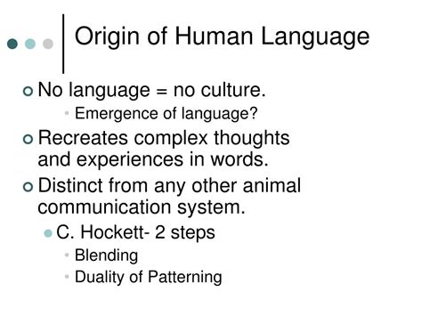 Human First Language 的图像结果