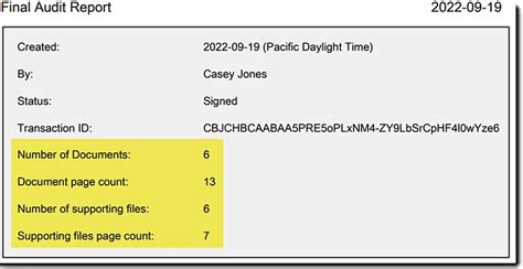 Include page counts in the audit report