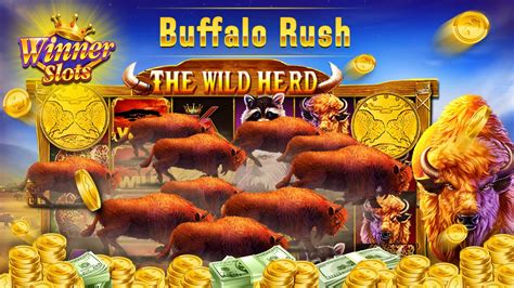 slots winner app apk,In the world of online gambling