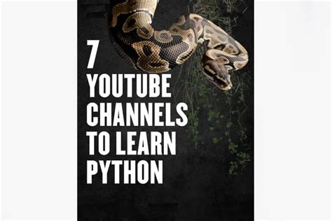 Image result for Python Videotutorial