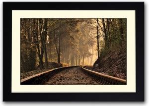 Train Track In Forest Fine Art Print - Places posters in India - Buy ...