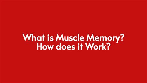 Image result for Muscle Memory Examples