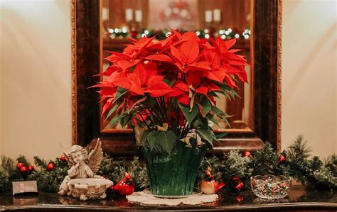 Sproles Family Funeral Home | New Castle IN