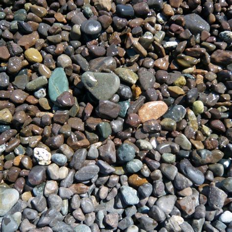 JASPER BEACH: Tutto quello che c'è da sapere (AGGIORNATO 2025)